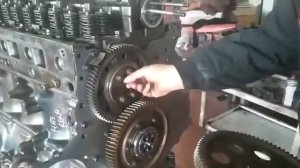 Dxi 11 litrelik Renault turck motor dişli setinin takılması