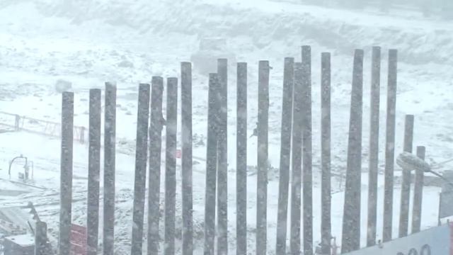 Капризы природы. Vagaries of Nature Spring