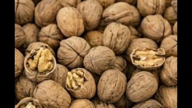 как заработать денег школьнику