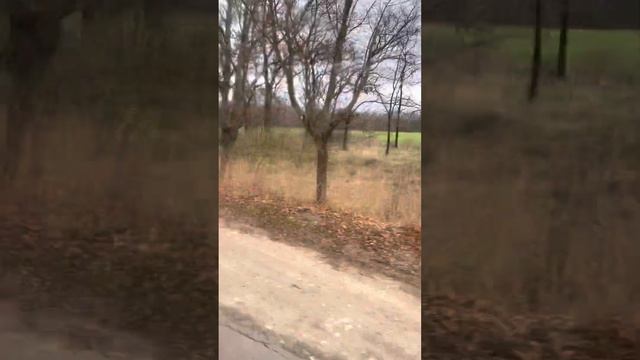 Ильичёвск 24.11.2021 (время 12:09) 1 часть. смотреть онлайн