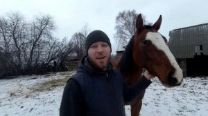 КУПИЛИ ДОМ В ДЕРЕВНЕ. СТРОЮ НОВЫЙ ДОМ ДЛЯ НАШИХ ЛОШАДЕЙ