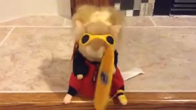Dancing hamster: Beach bum. (Re upload) смотреть онлайн