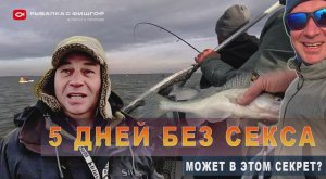 5 дней без секса - А может в этом секрет