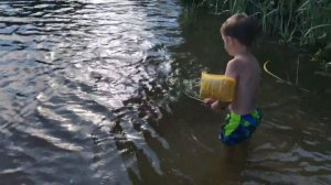 Путешествие на природу 🌿🐝🌾💦Заповедник Завидово