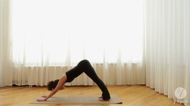 Yoga Asana Lab: Sun Salutations смотреть онлайн