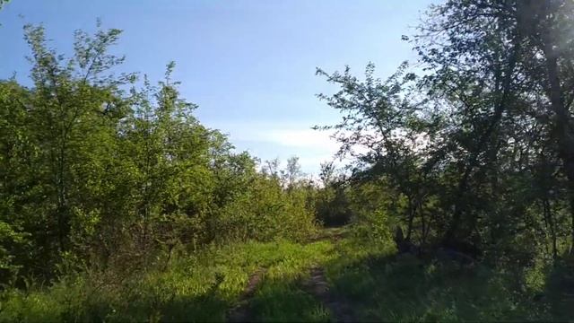 Терраса из покрышек. Ищу материал для осуществления планов смотреть онлайн