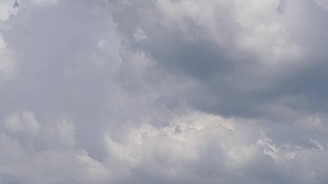 Саки Лес Озера Дача Михайловка 1 часть смотреть онлайн