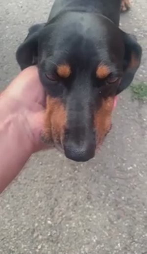 Бакс: о любви и дружбе