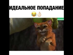 Кит ты маму мау, а папу мау, а брата мау