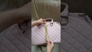 Обзор сумки переноски для собак в самолёт