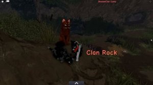 МЫ ВЕРНУЛИСЬ в "КОТЫ-ВОИТЕЛИ" / Warrior Cats: Ultimate Edition ROBLOX
