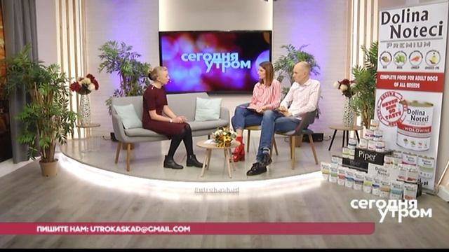 Вредные привычки. Профилактика вредных привычек