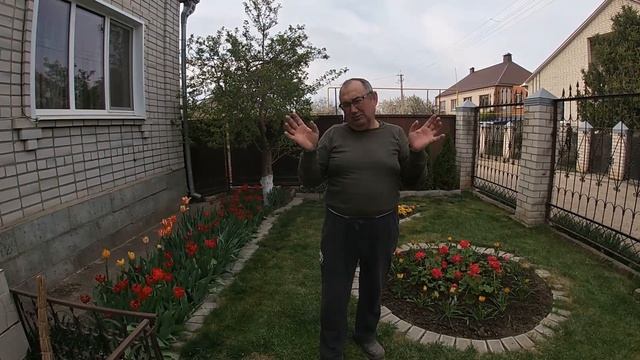 Герань на клумбе . Весенние работы на участке . В карантине не скучаем))))) смотреть онлайн