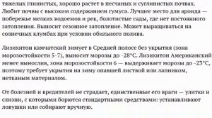 Лизихитон выращивание и уход, фото видов