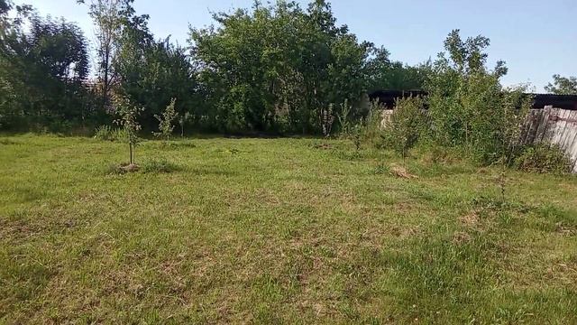 Кубическая ёмкость для воды за 3 доллара. смотреть онлайн