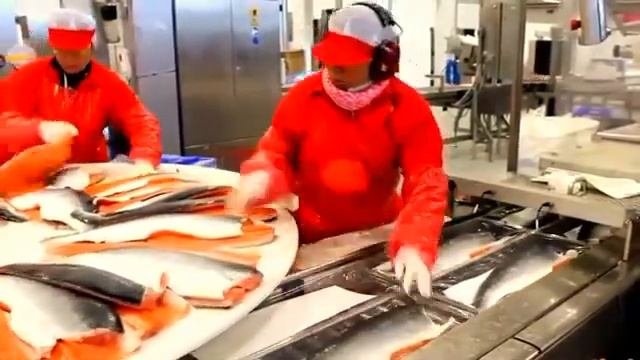 Рыбный завод Норвегия. «Cargill Norway ».