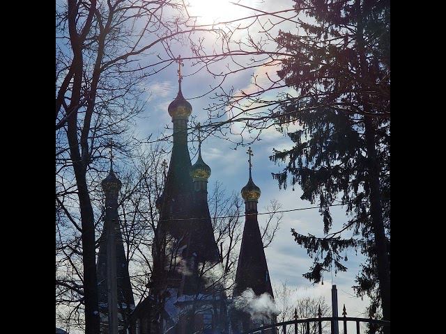 Прямой эфир: Молимся с батюшкой у мощей святителя Николая Чудотворца и Спиридона Тримифунтского смотреть онлайн