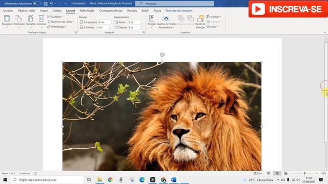 COMO CONVERTER JPG PARA PDF PASSO A PASSO SEM BAIXAR NADA смотреть онлайн