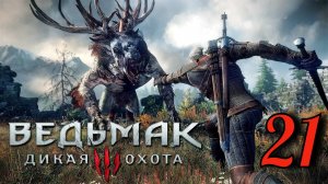 Ведьмак 3: Дикая Охота (The Witcher 3: Wild Hunt) . НОВИГРАД (УБЛЮДОК МЛАДШИЙ) #21