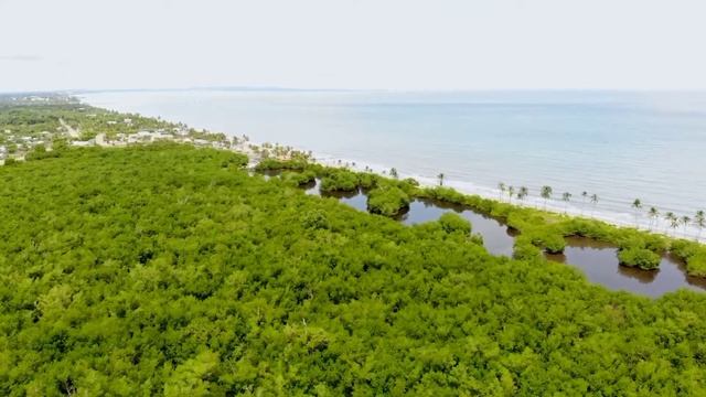 СПОКОЙНАЯ МУЗЫКА ОТ СТРЕССА. МУЗЫКА ДЛЯ ОТДЫХА. Music for stress, for sleep, meditation. смотреть онлайн