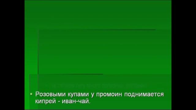 Видео экскурсия "Цветущий луг"