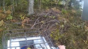 Квадроцикл из мотоблока. Тест-драйв по лесу.