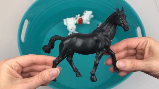 Lots of Farm Animals in a Pool Full of Water to Learn Colors смотреть онлайн