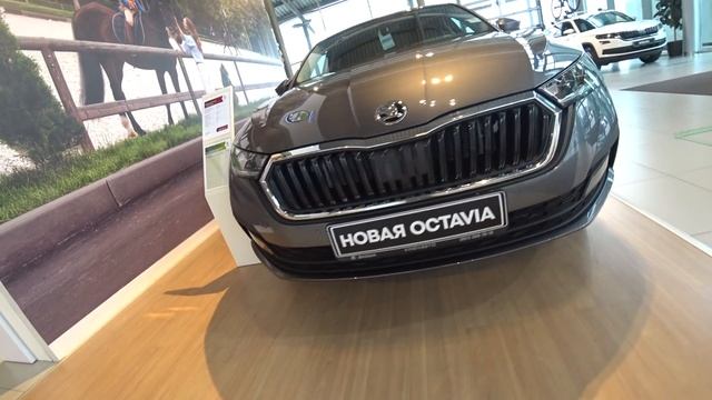 Шкода Цены Ноябрь 2020 смотреть онлайн