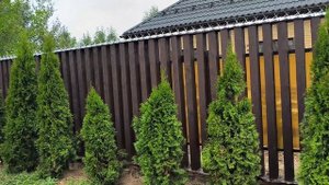 Красивый забор с шипами и не только!