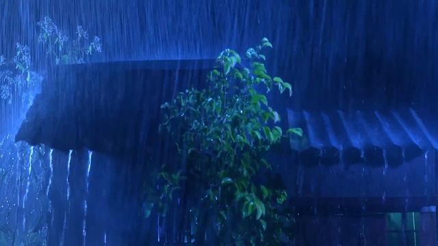 Dormi Immediatamente con un Potente Temporale e un Tuono Caotico sul Tetto di Lamiera di Notte смотреть онлайн