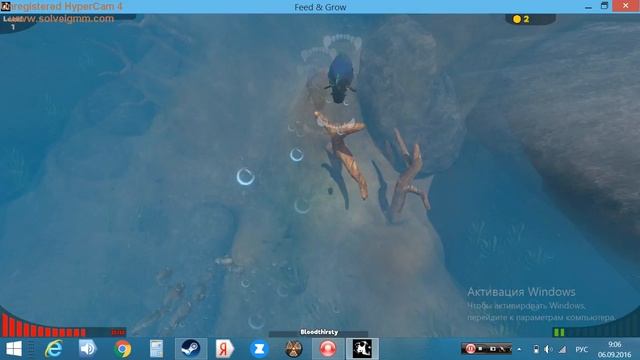Обзор игры Fish Feed A Grow