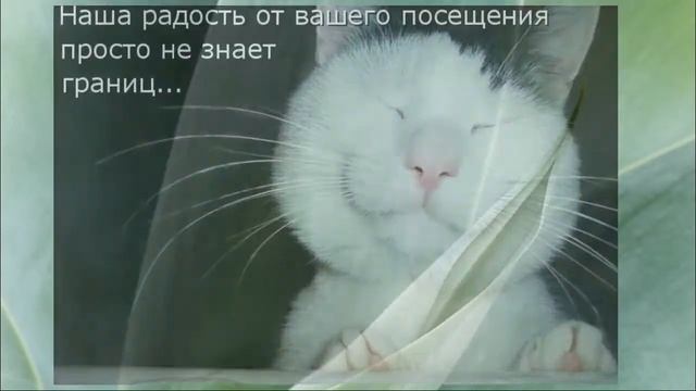 Музыкальная открытка - Позитив " Пусть день начинается с улыбки"