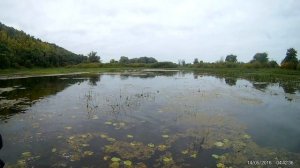 Рыбалка!Щука на подповерхностные воблера Kosadaka - Intra XS 95F и Tsuribito Jerk Pop