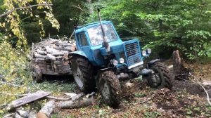 Трактор Беларус мтз 82 в ЛЕСУ