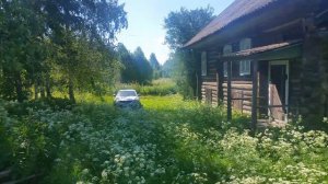 Д. Гряда, Бежецкий район, Тверская область, июнь 2018