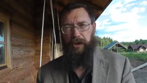 Почему забирают детей.Герман Стерлигов