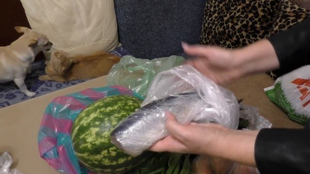 ВЛОГ//24 сентября//ПОСЫЛКА ДЛЯ ЛЕНЫ И ЛАСЫ//ПОКУПКИ В АТБ И НЕ ТОЛЬКО//САЖАЮ АЛОЭ//НАШЕ МЕНЮ смотреть онлайн