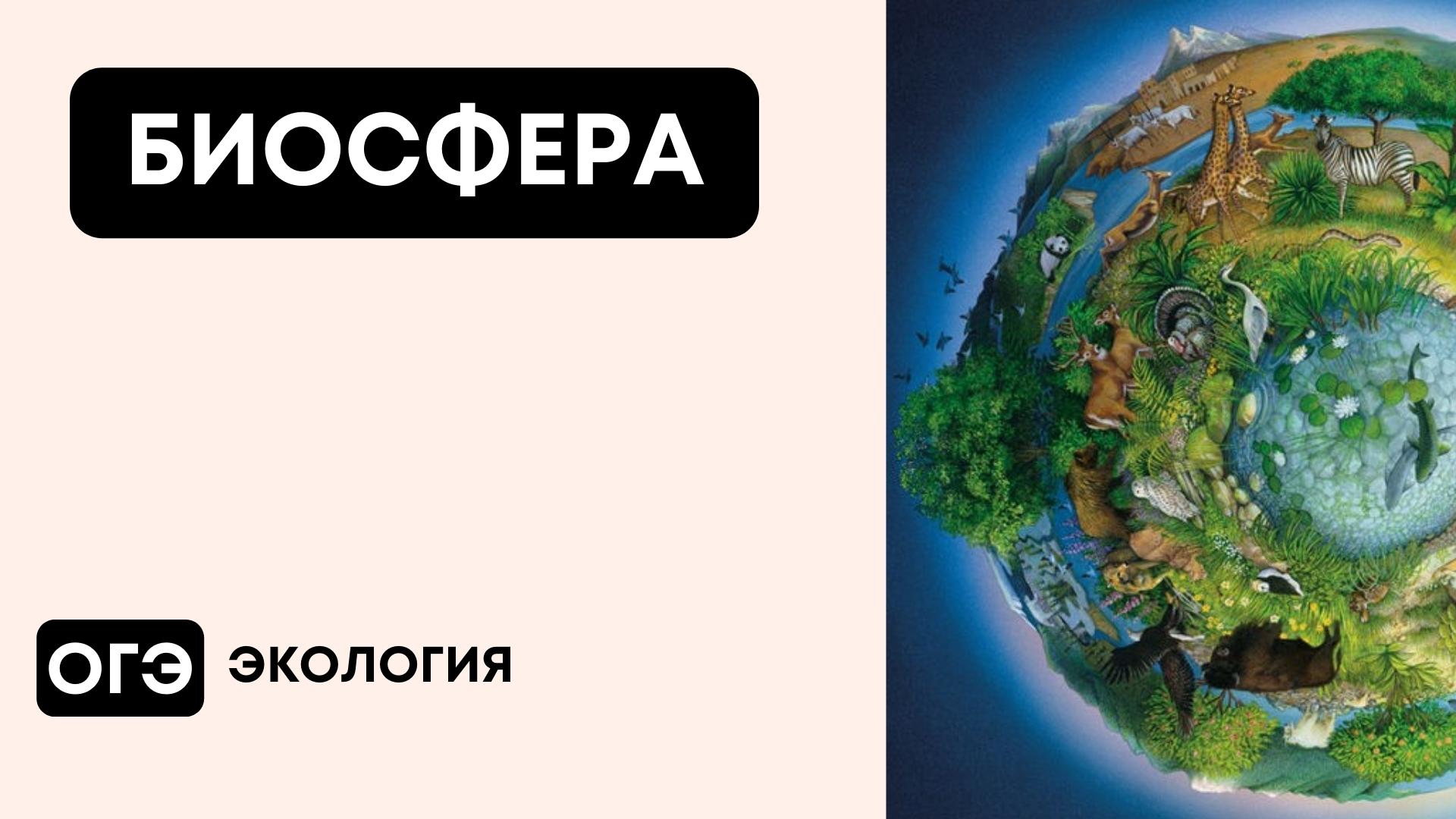 Биосфера егэ презентация