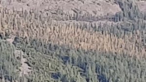 Плато Путорана, гора Фестивальная, вид на озера Лама и Капчук