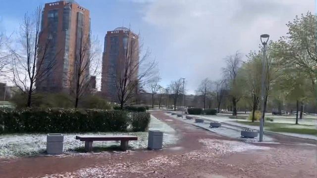 Аренда в Петербурге. Метро Международная. Как Вам район для жизни?
