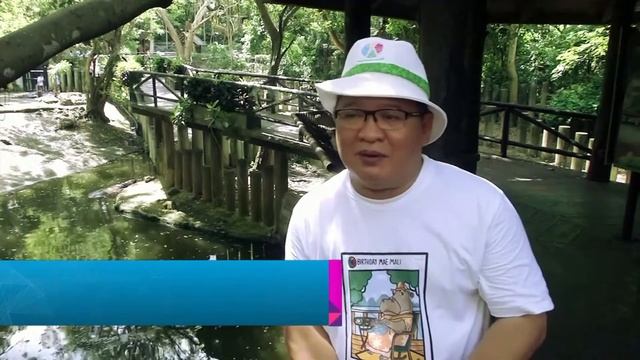 Самый старый гиппопотам Таиланда отпраздновал юбилей смотреть онлайн