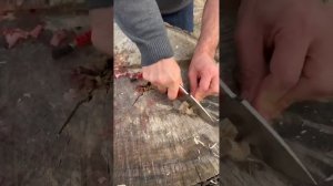 Шкуросъемный - разделочный нож