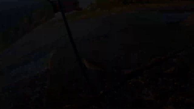 Рыбалка Алушта 6.07.21 смотреть онлайн