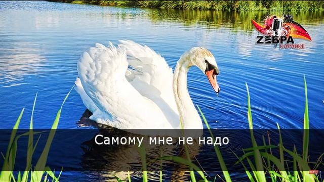 КАРАОКЕ!!!Я куплю тебе дом!!!