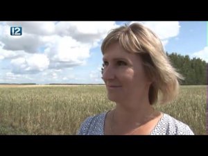 Местные жители (23.08.2019)