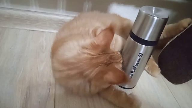 Что подарить рыбаку на день рождения? ЛучшийРыбАловный смотреть онлайн