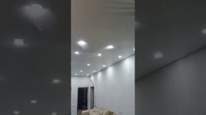 кот в натяжном потолке