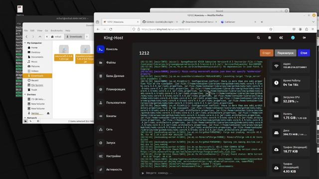 Как поставить моды на хостинг? Хостинг игровых серверов KingHost