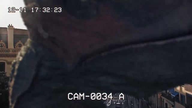 УСТАНОВЛЕННАЯ КАМЕРА ЗАСНЯЛА ПТЕРАНАОДОНА смотреть онлайн