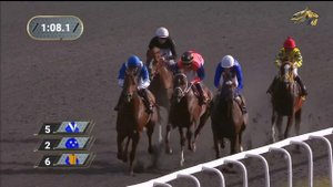 4-я Скачка. Кубок Казанского ипподрома (2гр). ИППОДРОМ КАЗАНЬ. 30.08.2022